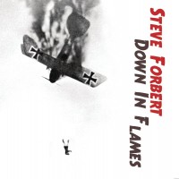 Purchase Steve Forbert - Down In Flames