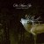 Buy The Moyen Age - Patience And Trust Mp3 Download