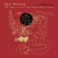 Buy Erik Truffaz - In Between Mp3 Download