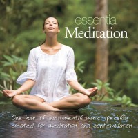 Purchase Patrick Kelly - Essential Meditation