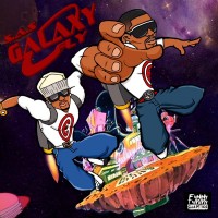 Purchase S.A.S. - Galaxy Fly