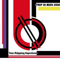 Purchase Strip In Midi Side - Your Stripping Experience