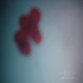 Buy Headlight - Slowly Down Mp3 Download