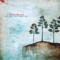Buy Lynn Miles - Fall For Beauty Mp3 Download