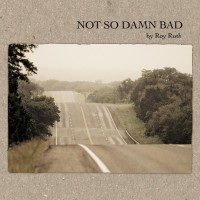 Purchase Roy Ruth & The Potwashers - Not So Damn Bad
