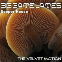 Purchase Big Game James - The Velvet Motion