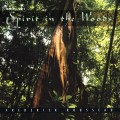 Buy Frederick Rousseau - Spirit In The Woods Mp3 Download