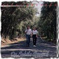 Buy Isaac Shepard - On Subtle Ground Mp3 Download
