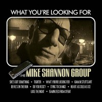 Purchase The Mike Shannon Group - What You're Looking For
