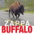 Buy Frank Zappa - Buffalo CD1 Mp3 Download
