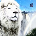 Buy Jinn - Raion Mp3 Download