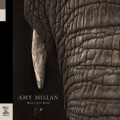 Buy Amy Millan - Masters Of The Burial Mp3 Download