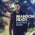 Buy Brandon Heath - Leaving Eden Mp3 Download