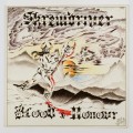 Buy Skrewdriver - Blood & Honour (Vinyl) Mp3 Download