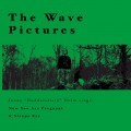 Buy The Wave Pictures - Jonny Helm Sings Mp3 Download