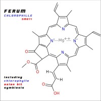 Purchase Ferum - Chlorophylle