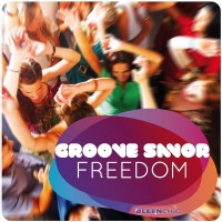 Purchase Groove Savor - Freedom