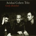 Buy Avishai Cohen Trio - Gently Disturbed Mp3 Download