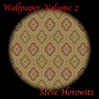 Purchase Steve Horowitz - Wallpaper Volume 2 (20 Years Of Pure Instrumental Magic)