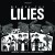 Buy The Lilies - We Are The Lilies Mp3 Download