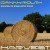 Buy Danny Routh - Harvest Mp3 Download