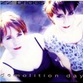 Buy 22 Brides - Demolition Day Mp3 Download