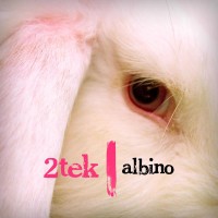 Purchase 2 Tek - Albino