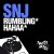Buy Snj - Hahaa & Rumbling Mp3 Download