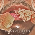 Buy Toro Y Moi - Underneath the Pine Mp3 Download