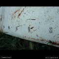 Buy [Lemoine] - Alligators Mp3 Download