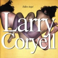 Purchase Larry Coryell - Fallen Angel