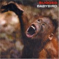 Buy Babybird - Bugged Mp3 Download