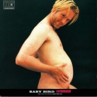 Purchase Babybird - Fatherhood