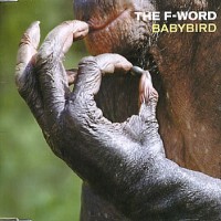 Purchase Babybird - The F Word #2 (CDS)