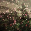 Buy Woodmen Hall - Into The Swine, Into The Sea Mp3 Download