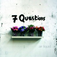 Purchase 7 Questions - Air Liquid
