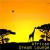 Buy African Tribal Orchestra - African Dream Lounge Mp3 Download