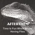 Buy Afterthem - Time Is Fun When You're Having Flies Mp3 Download