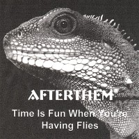 Purchase Afterthem - Time Is Fun When You're Having Flies