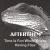Buy Afterthem - Time Is Fun When You're Having Flies Mp3 Download