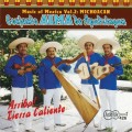 Buy Conjunto Alma De Apatzingan - Arriba Tierra Caliente! Mp3 Download