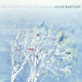 Buy Aidan Bartley - Fragements Of A Daydream Mp3 Download