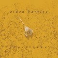 Buy Aidan Bartley - Soulstream Mp3 Download
