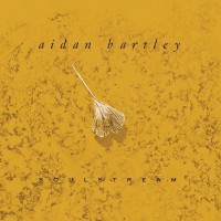 Purchase Aidan Bartley - Soulstream