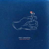 Purchase Pixie Carnation - Speed Up Your Heart