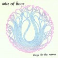 Buy Sea Of Bees - Songs For The Ravens Mp3 Download
