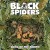 Buy Black Spiders - Sons Of The North Mp3 Download