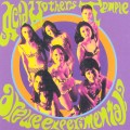 Buy Acid Mothers Temple & The Melting Paraiso UFO - Are We Experimental? Mp3 Download
