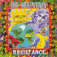 Purchase Big Mountain - Resistance