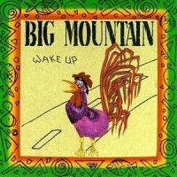 Purchase Big Mountain - Wake Up